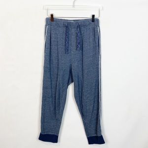 Chalmers Blue Heather Cotton Knit Jogger Small